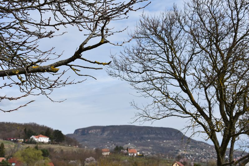 dsc_0434_eredmeny.JPG