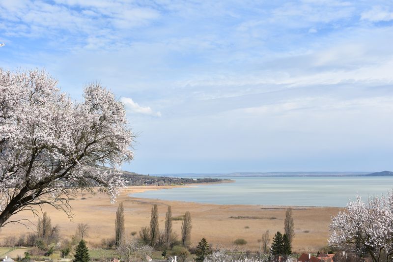 dsc_0475_eredmeny.JPG
