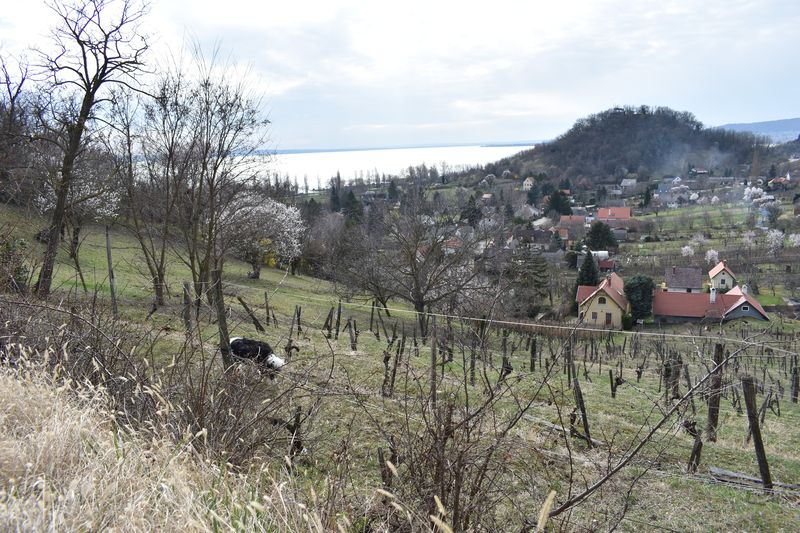dsc_0482_eredmeny.JPG