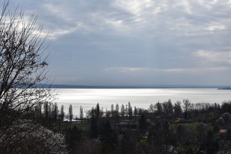 dsc_0483_eredmeny.JPG
