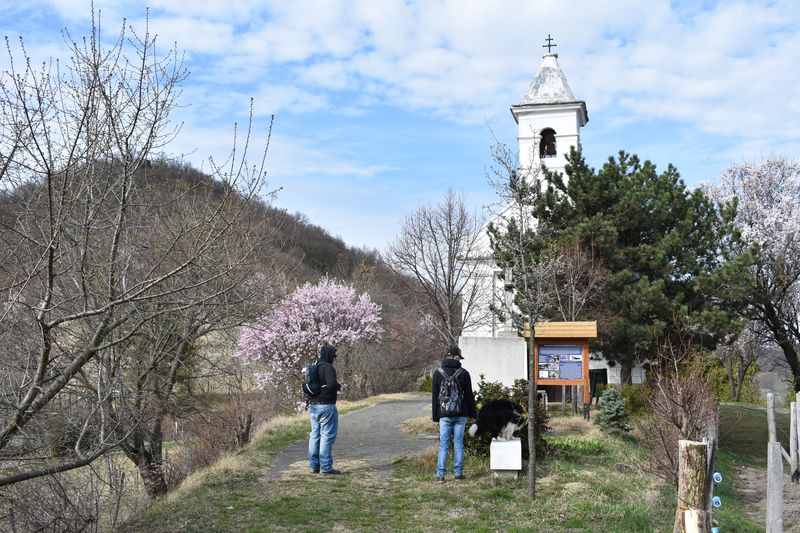 dsc_0486_eredmeny.JPG
