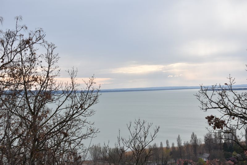dsc_0503_eredmeny.JPG