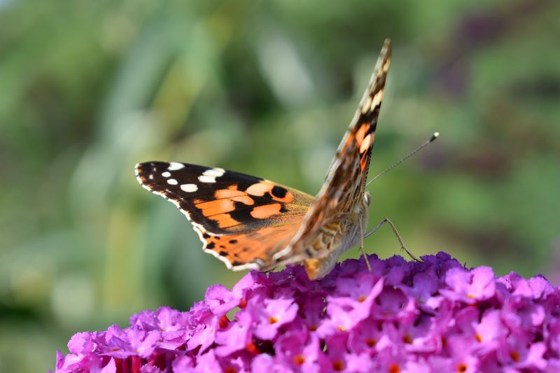 dsc_0576_eredmeny.JPG
