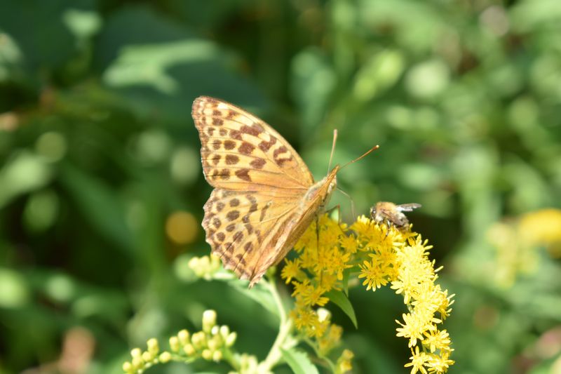 dsc_0624_eredmeny.JPG