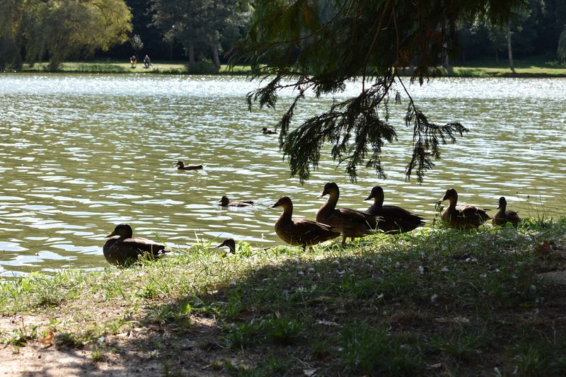 dsc_0638_eredmeny.JPG