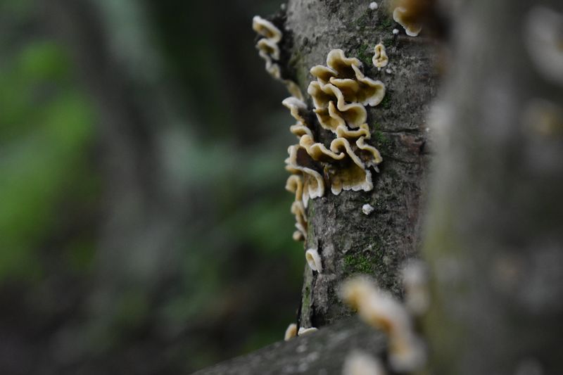 dsc_0673_eredmeny.JPG