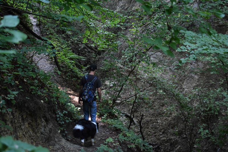 dsc_0675_eredmeny.JPG
