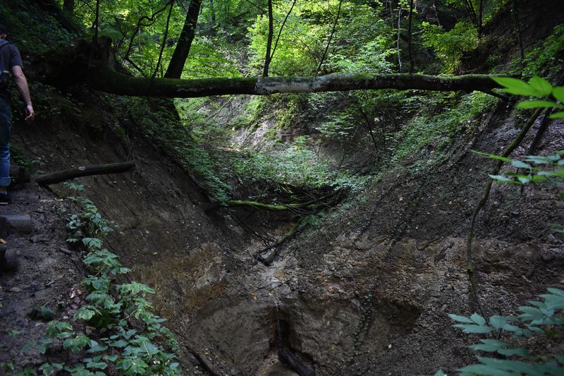 dsc_0678_eredmeny.JPG