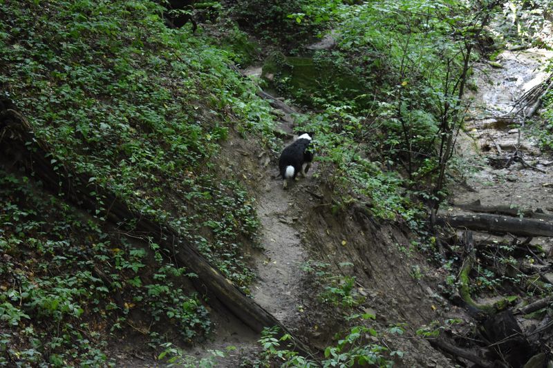 dsc_0682_eredmeny.JPG
