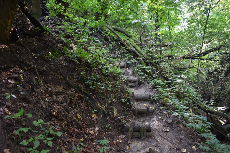 dsc_0698_eredmeny.JPG