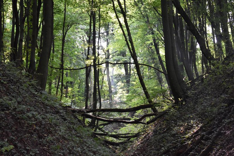 dsc_0700_eredmeny.JPG