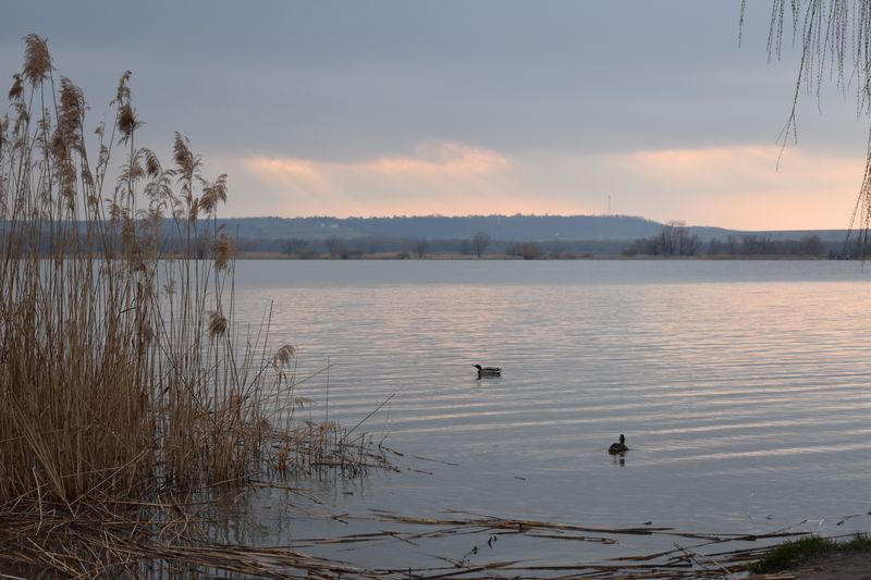 dsc_0983_eredmeny.JPG