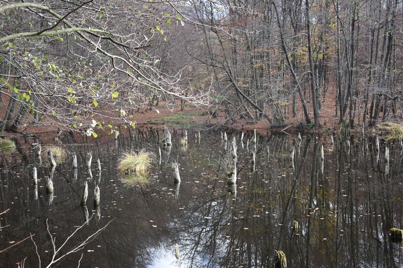 dsc_1006_eredmeny.JPG