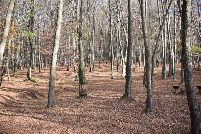 dsc_1050_eredmeny.JPG