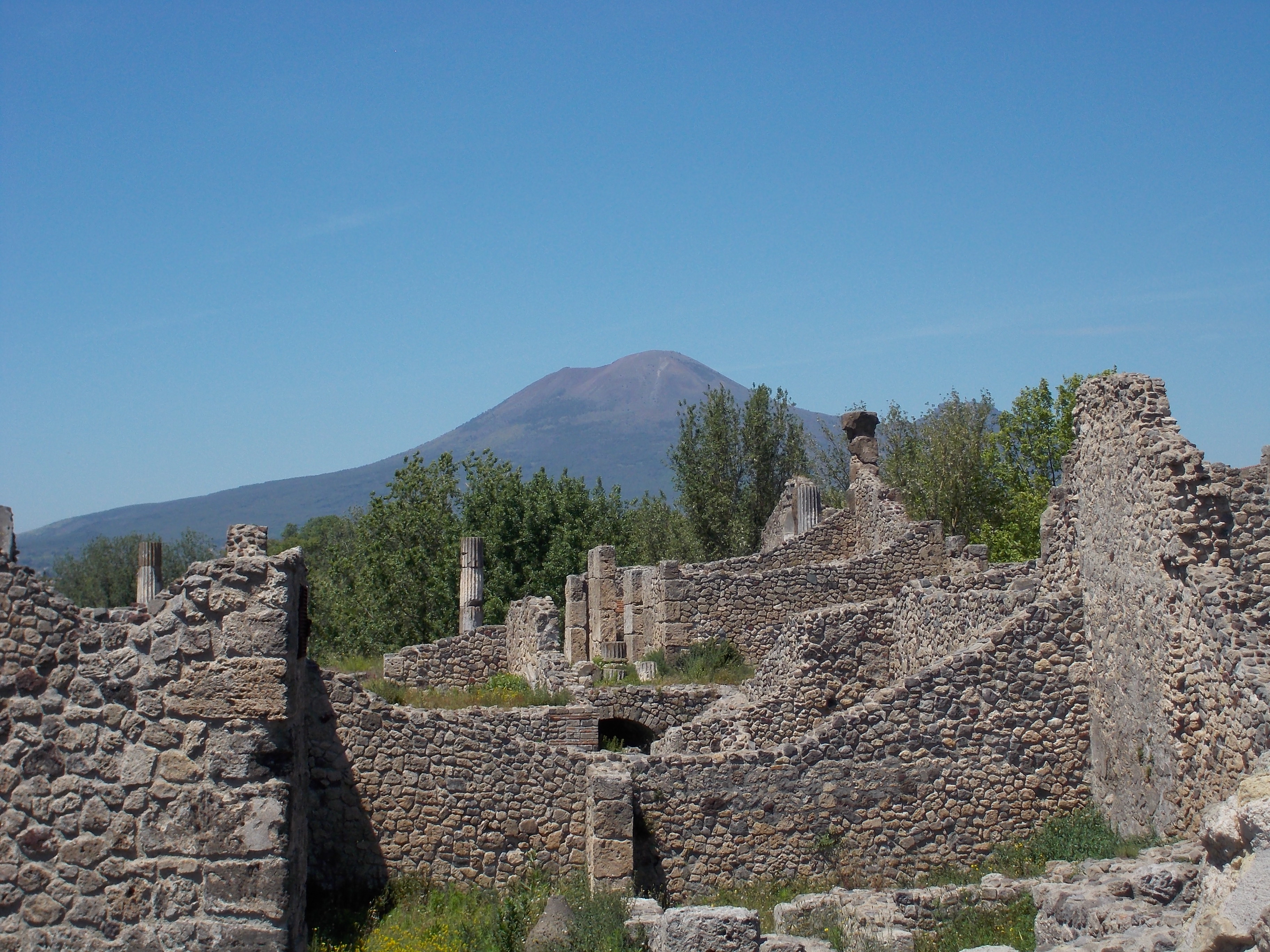 dscn0290.JPG