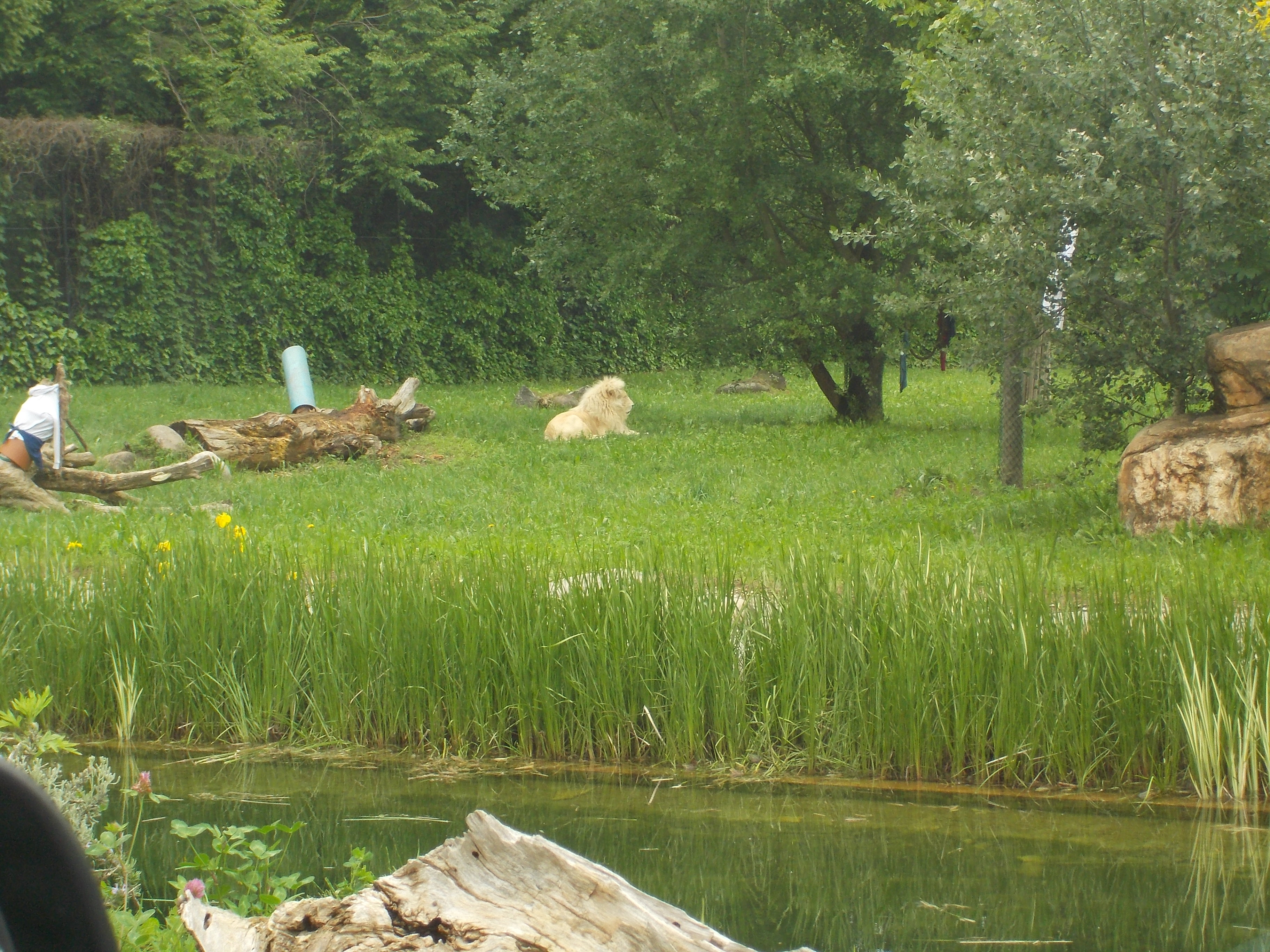 dscn0346.JPG