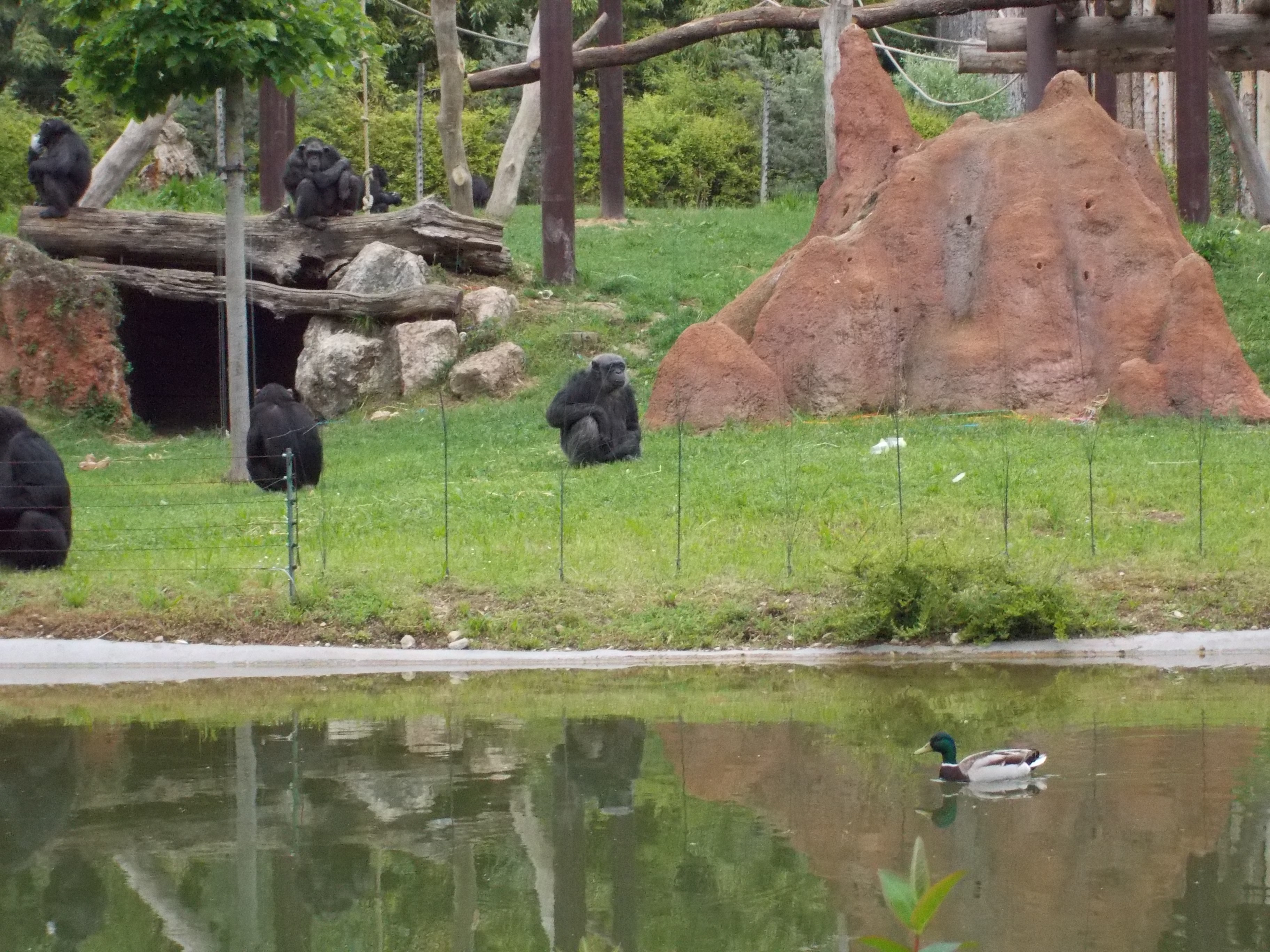 dscn0366.JPG