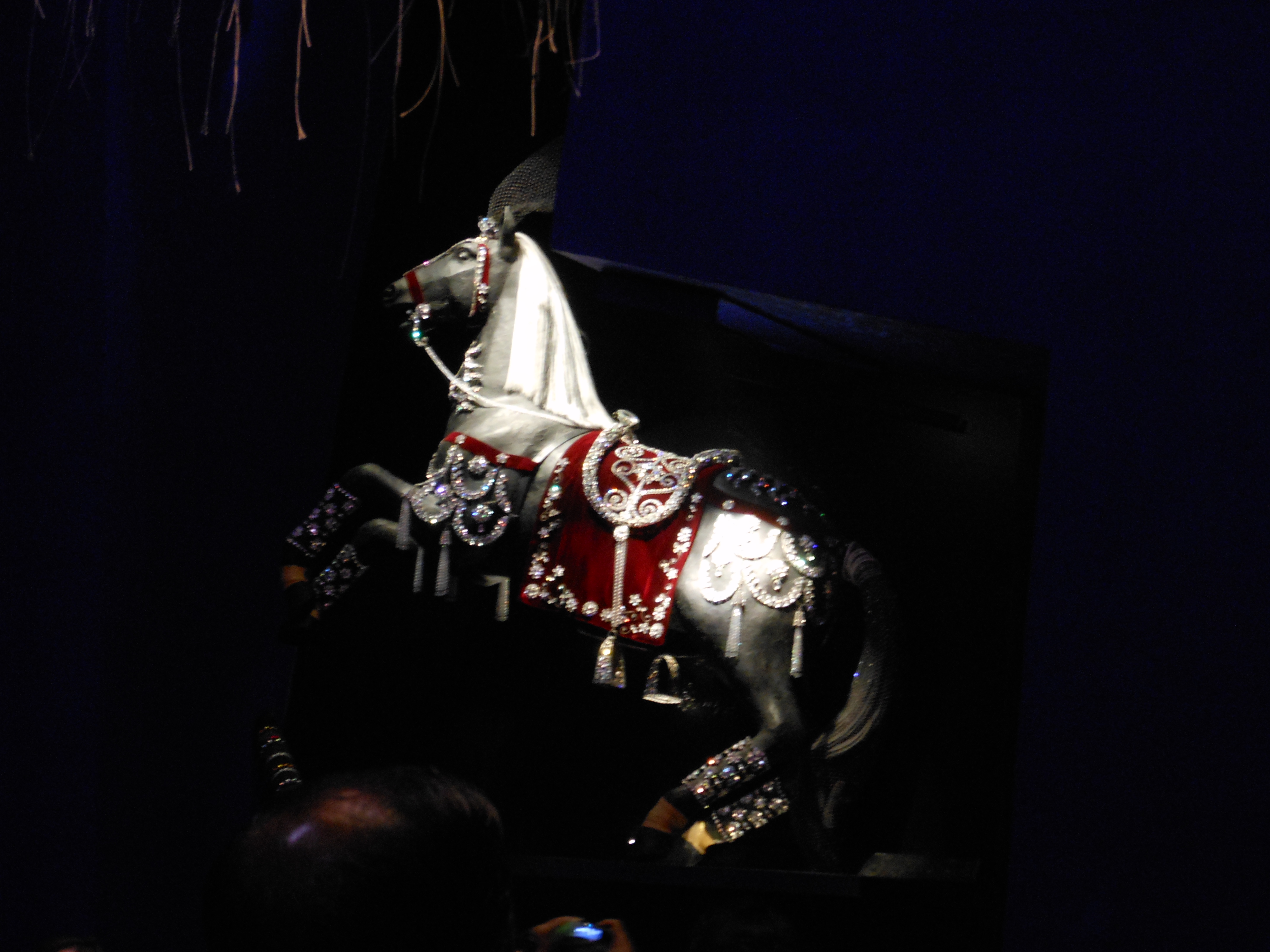 dscn0670.JPG