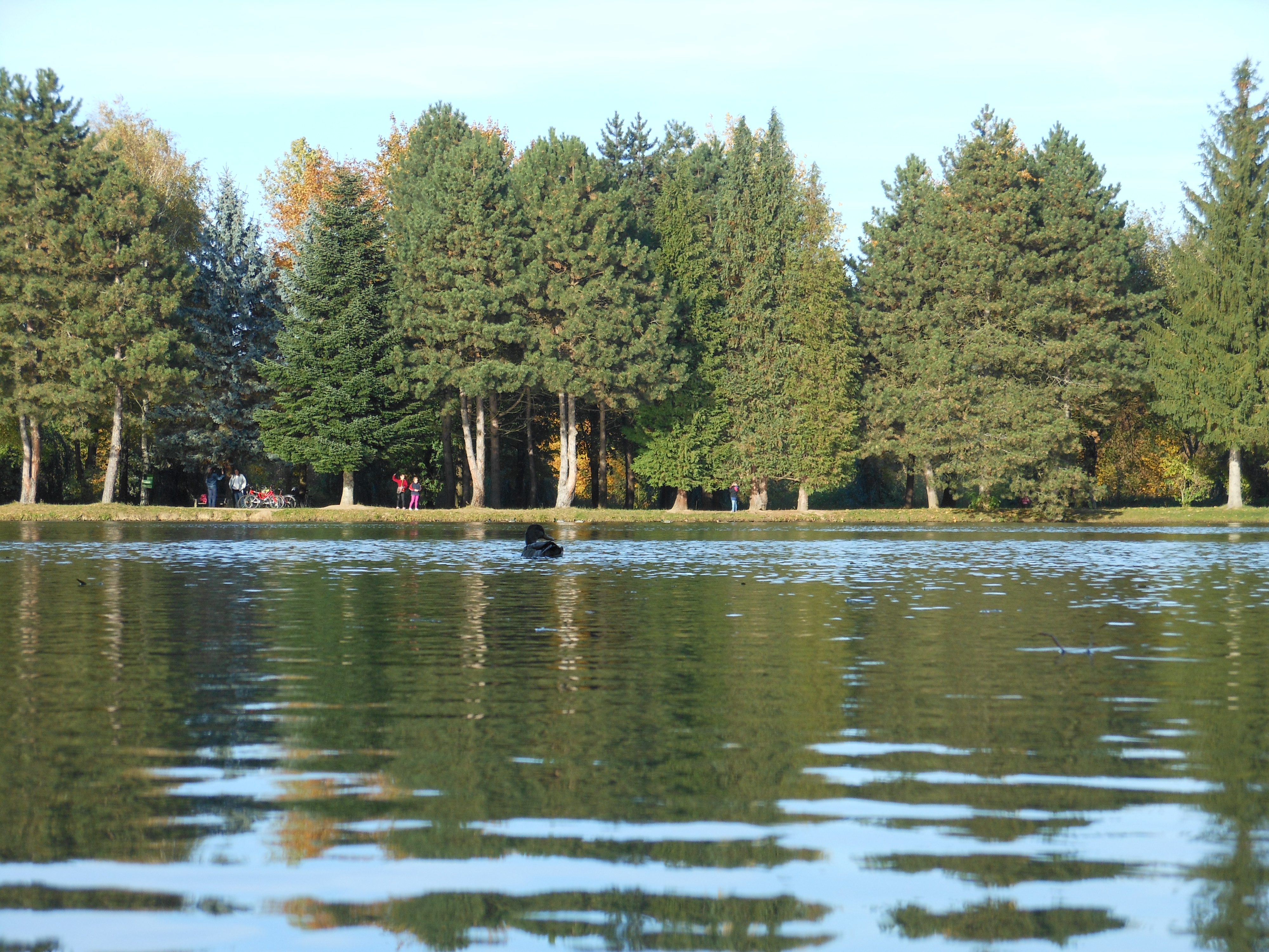 dscn0749.JPG