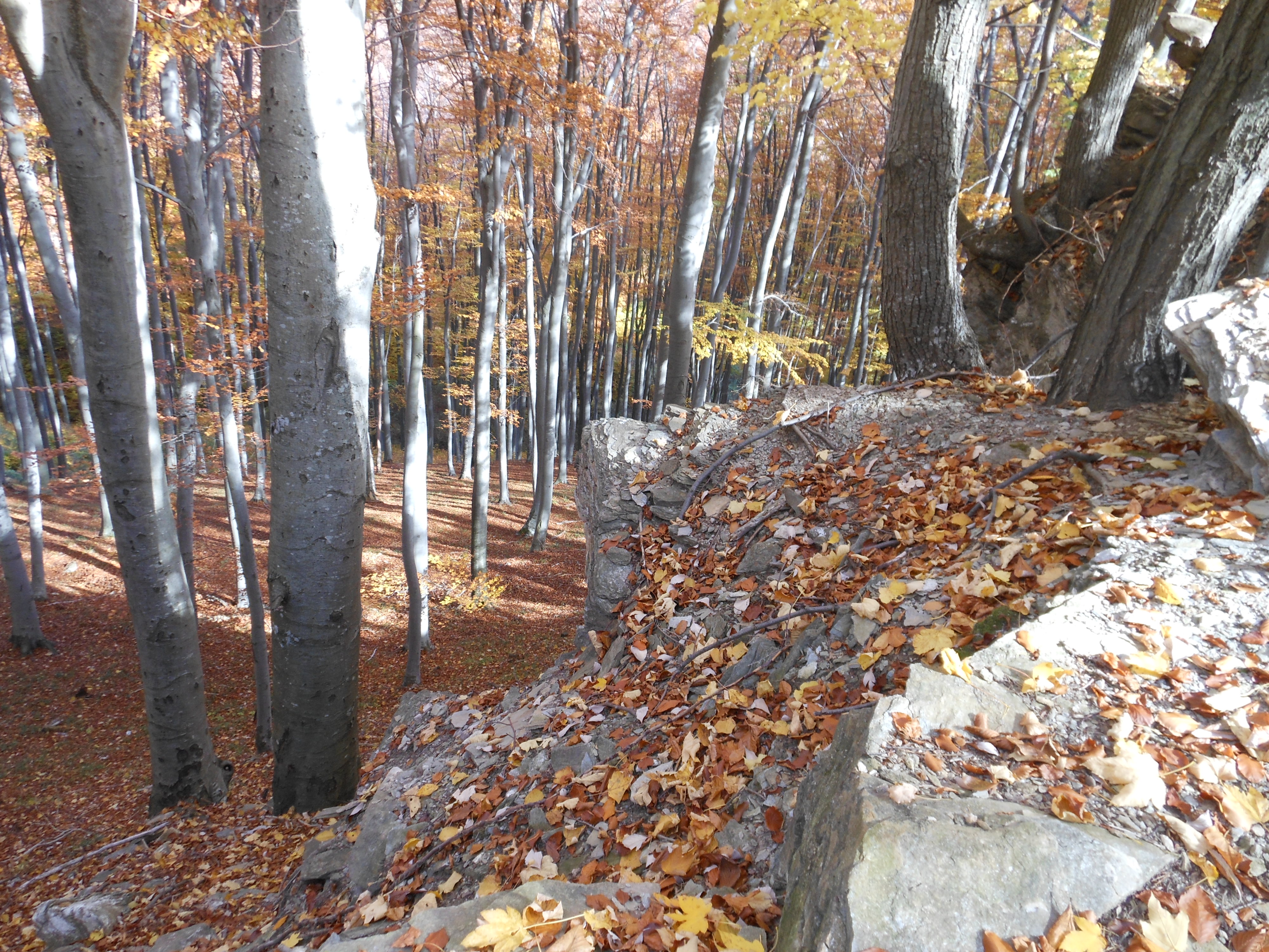 dscn0778.JPG