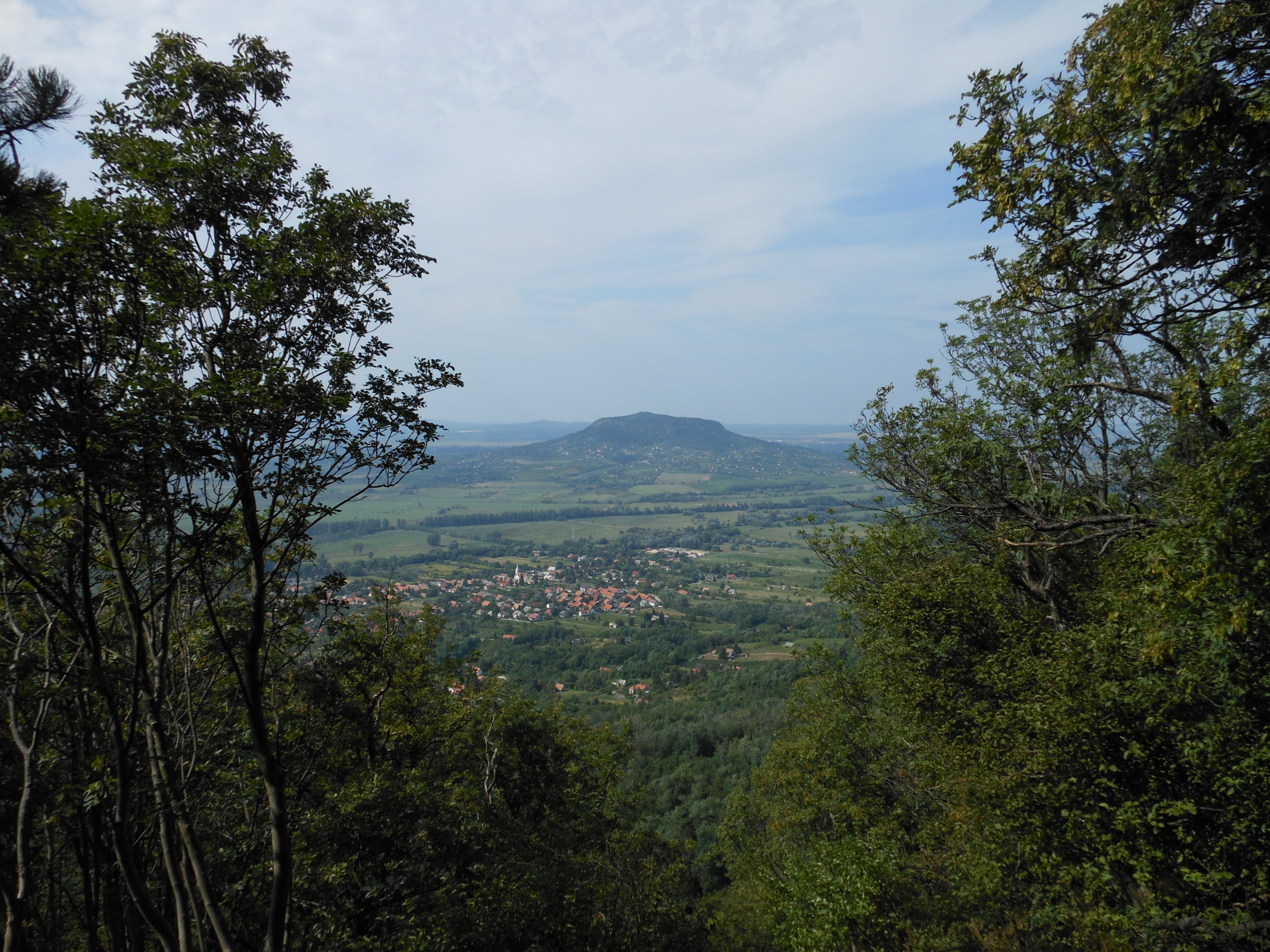 dscn0918.JPG