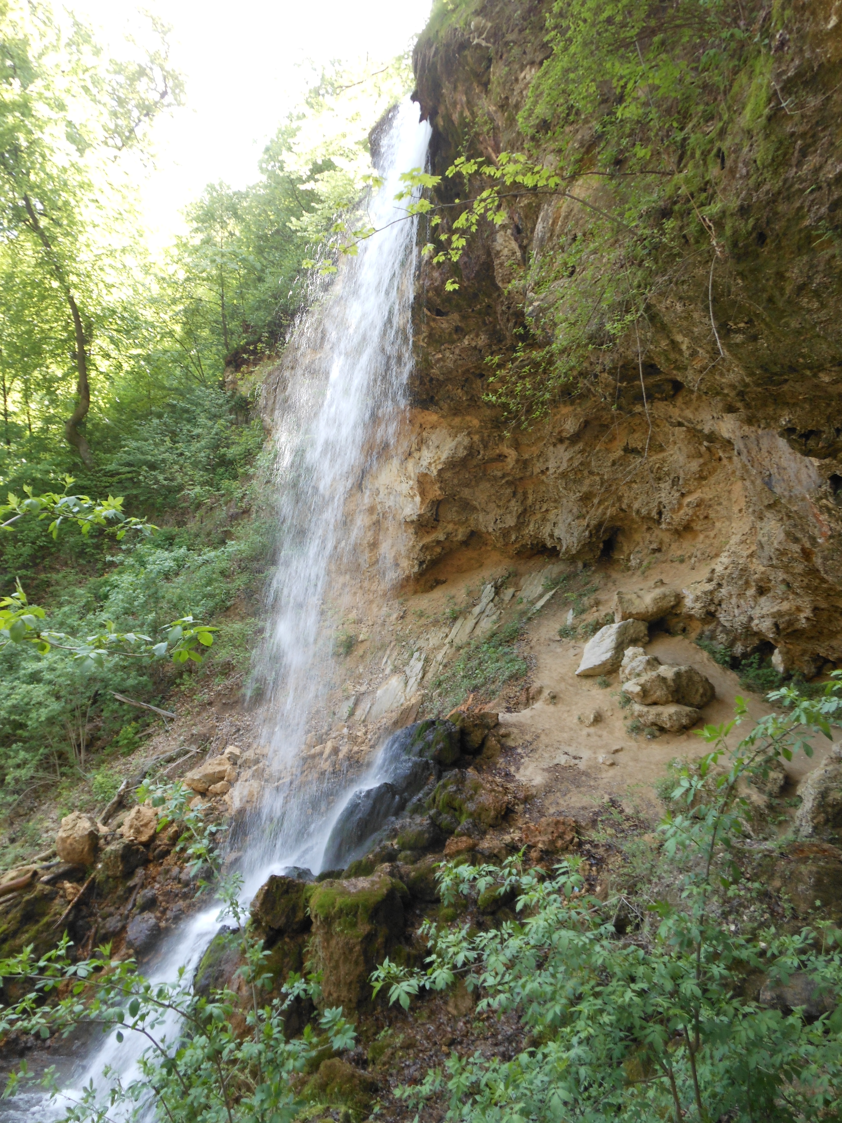 dscn0935.JPG