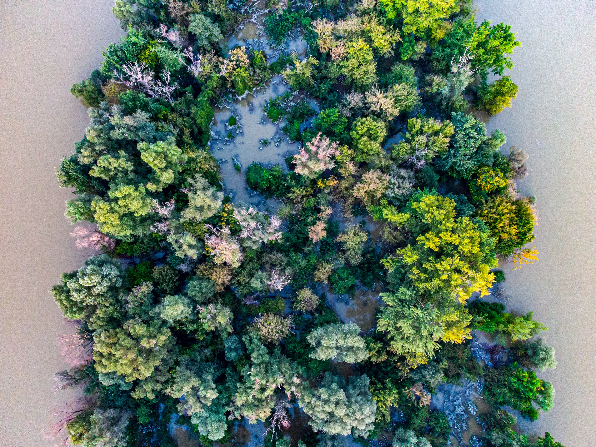 dji_0063.jpg