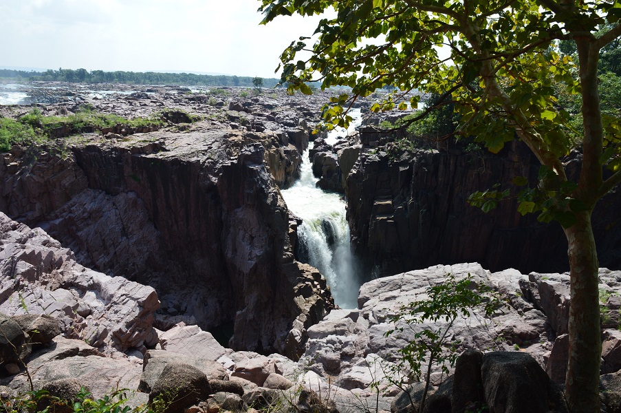 dsc_0008.jpg