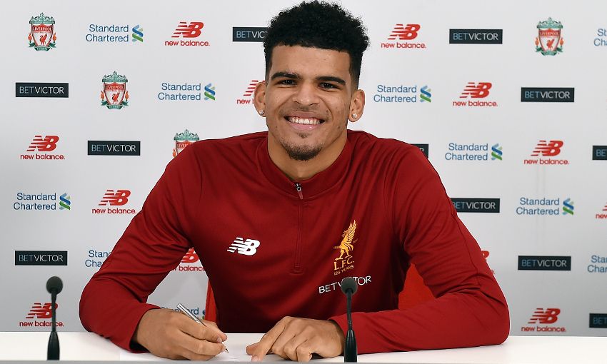 dsolanke.jpeg