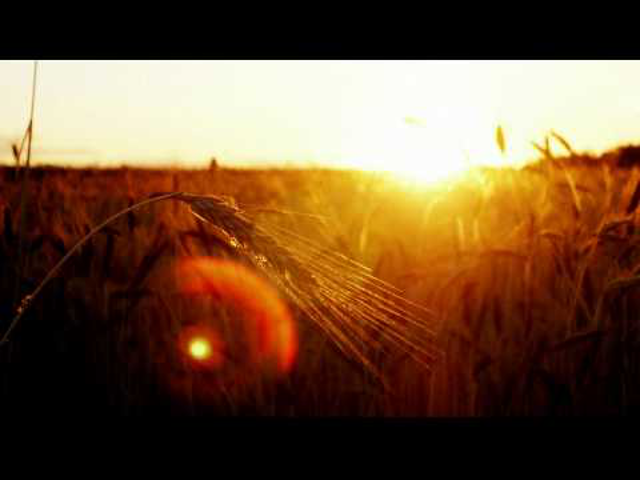 ...::: Chillout Dreams Vol 14. :::...
