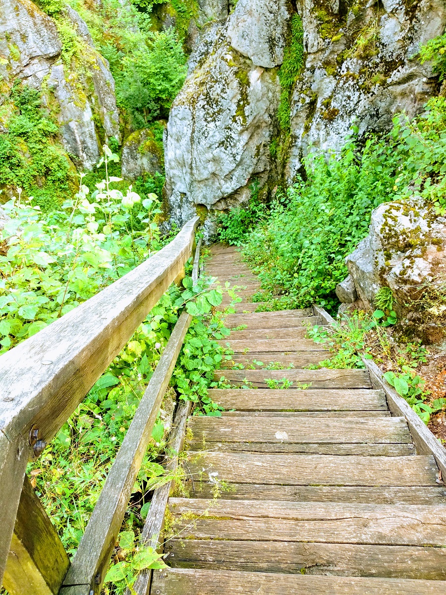 Az Őskarsztba lépcső vezet le, így lentről is gyönyörködhetünk a sziklafalakban.