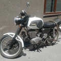 MZ TS250/1 tiger1342 edition