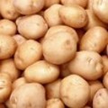 Krumplitúra