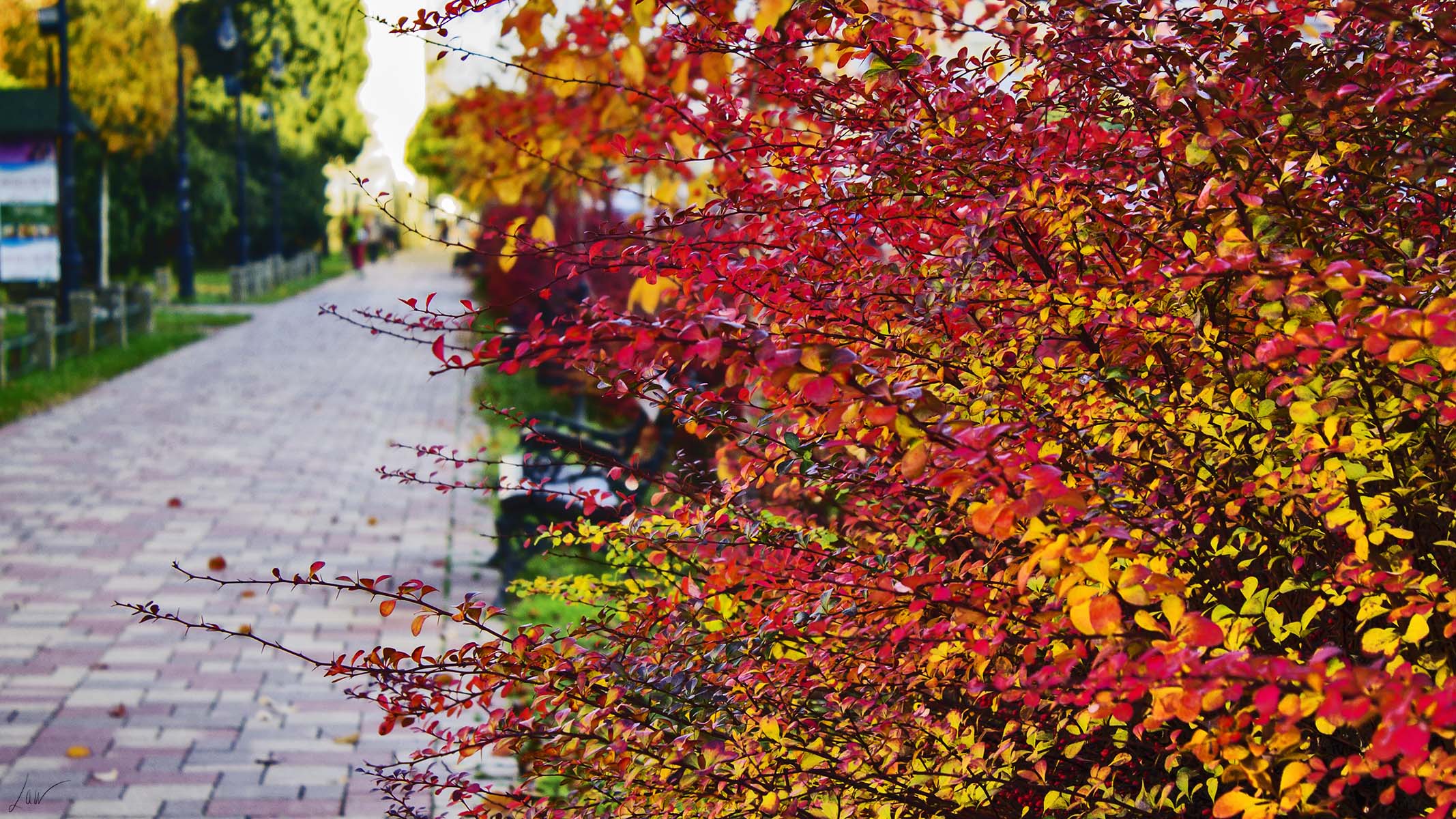 Lángnyelvek <br /><br /><br />Canon EOS 1100D; f/5.6; 1/80; iso100