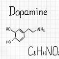 H A M A R O S A N . . . Dopamin