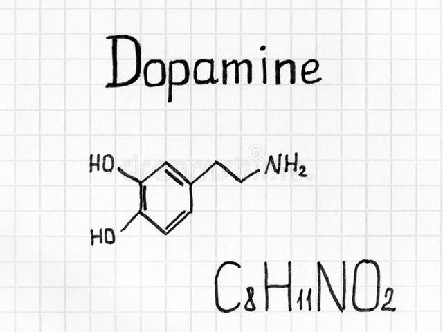 H A M A R O S A N . . . Dopamin