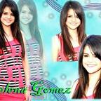 Selena Gomez Hajviseletei