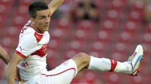 ibisevic.jpg