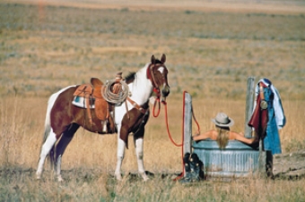 cowgirl_in_heaven_1-340x340.jpg