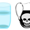 Vízmérgezés – tények és tévhitek