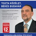 Tóth Gyula,  az I. kerület 5-ös válaszókörzetének DK-s képviselőjelöltje