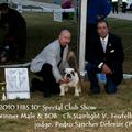 The 10th Hungarian Bulldog Section Special Club Show. H B S 2010.10.16
