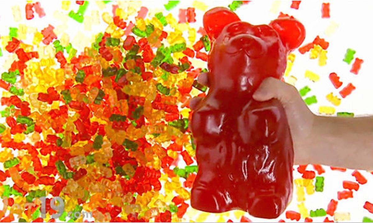 world-largest-gummy-bear.jpg