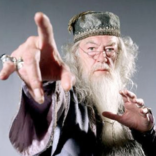 wiz_dumbledore.jpg