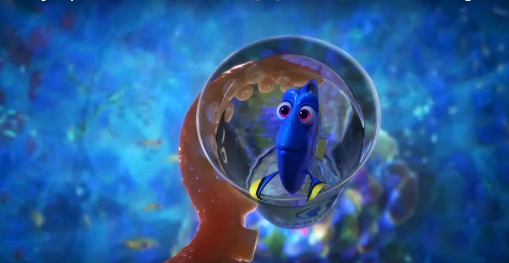 all-trailers-lead-to-finding-dory-check-out-brand-new-footage-in-this-japanese-internat-941918.jpg