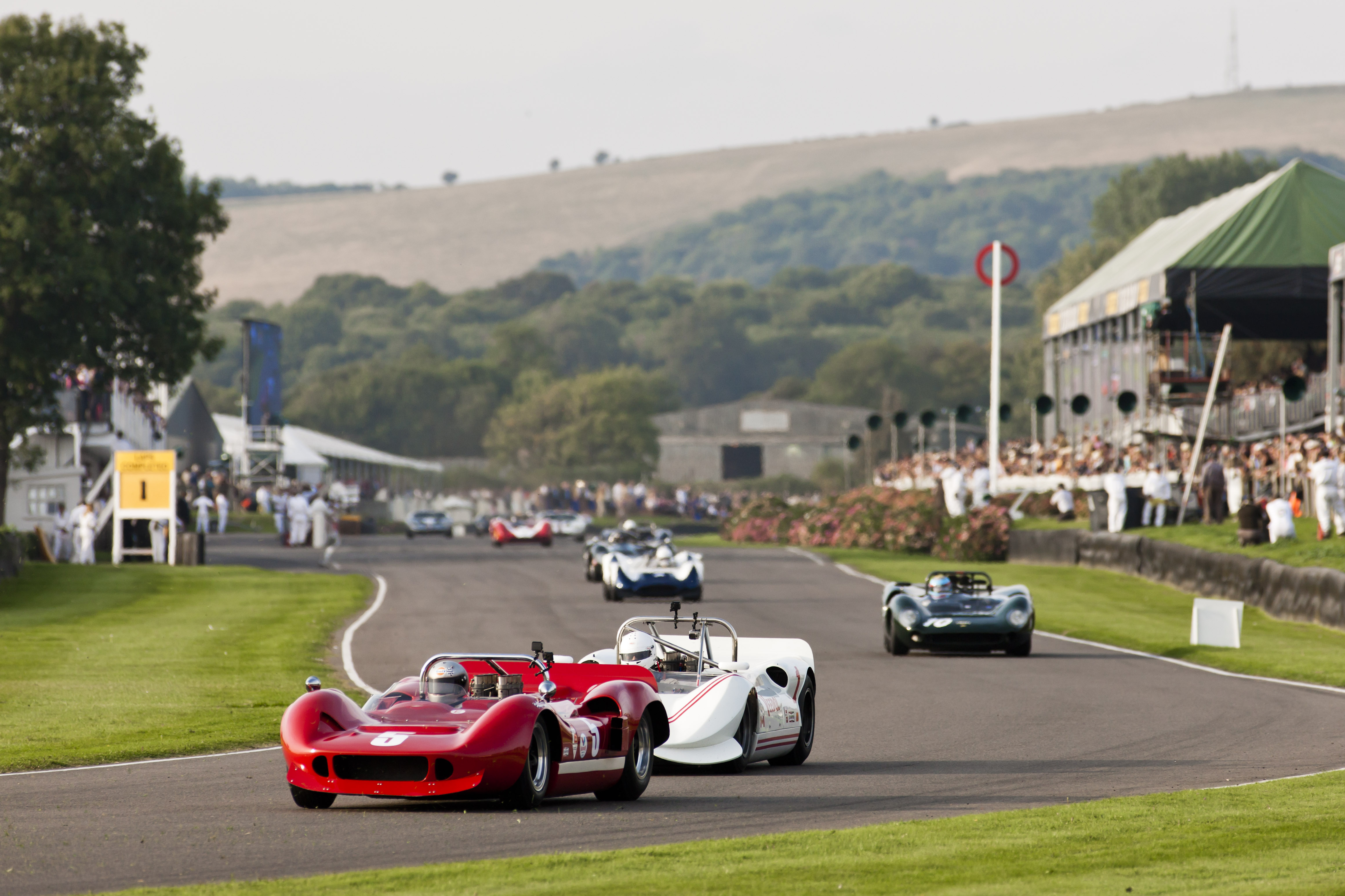 chris_goodwin_mclaren_m1b_whitsun_trophy_goodwood_revival_2014.jpg