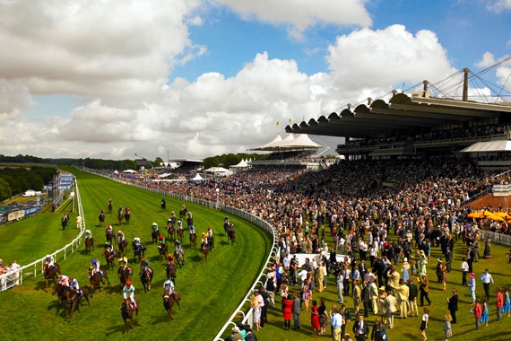 gloriousgoodwood3.jpg