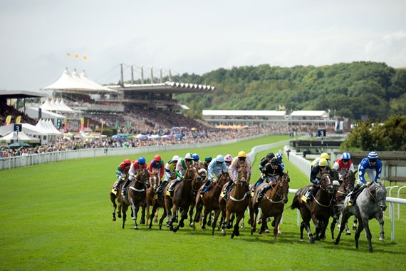 gloriousgoodwood5.jpg