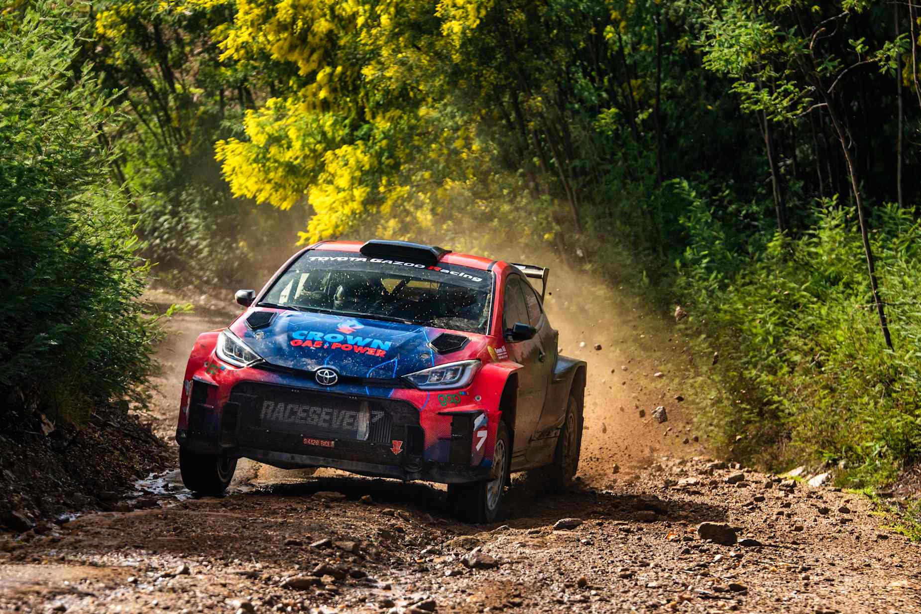 Gus Greensmith felkészülten várja a WRC Szafari rallyt