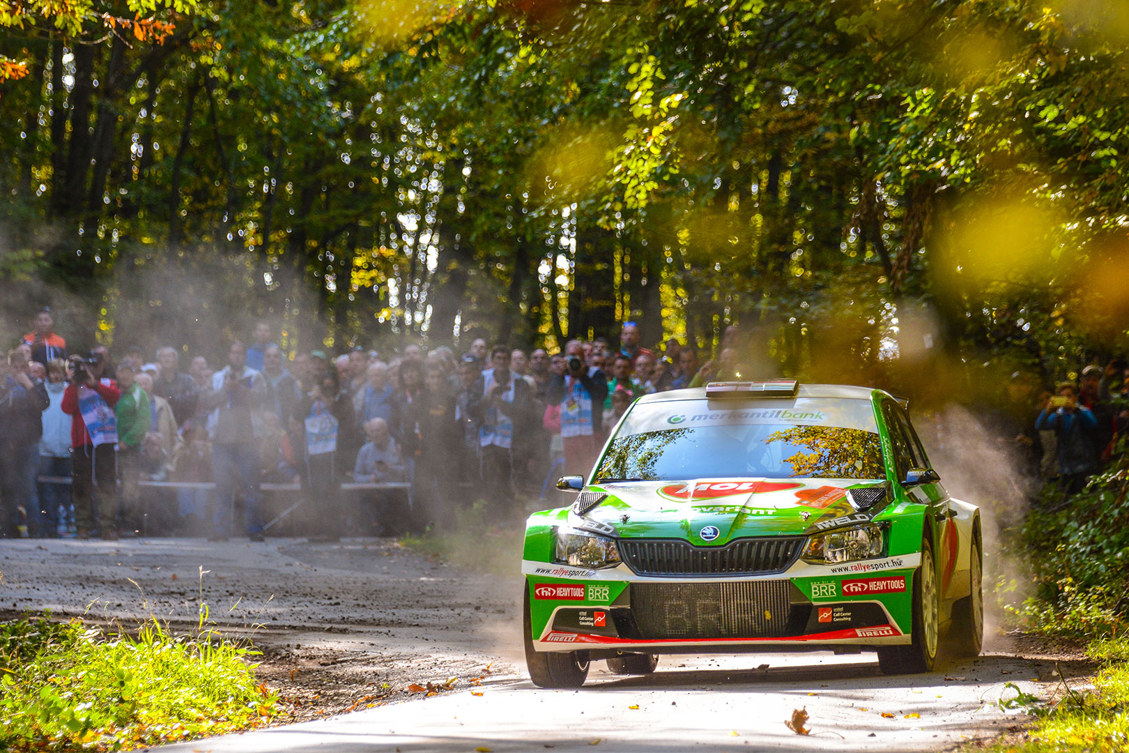 norbert_herczig_mecsek_rallye_2017-jpg.jpg